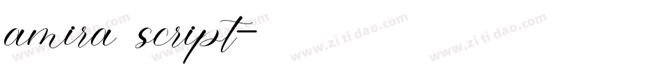 amira script字体转换
